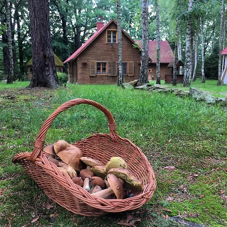 Zakatek Kliczkow بيت للعطل *