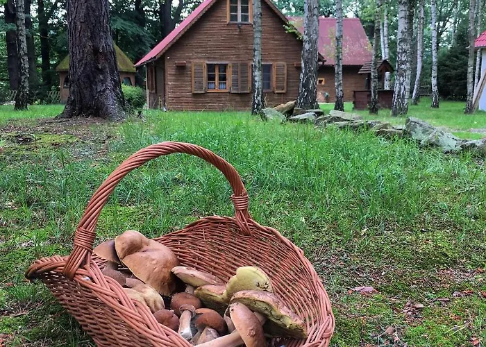 Zakatek Kliczkow Сasa de vacaciones *